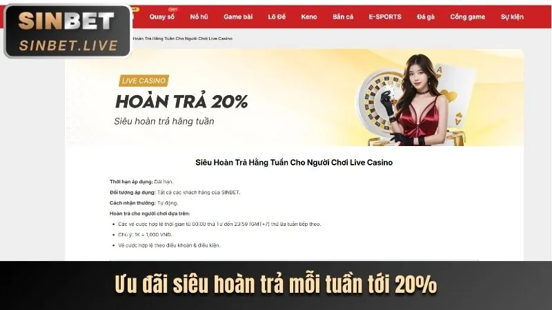 Khuyến mãi đặc biệt theo dịp lễ và sự kiện lớn